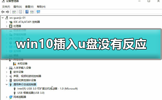 win10电脑插了u盘没反应怎么办?